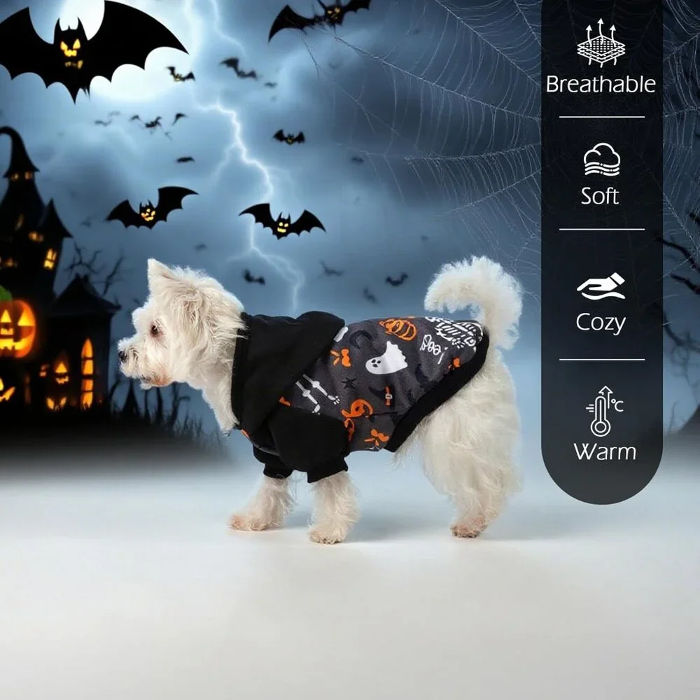 EXPAWLORER Halloween Dog Hoodie